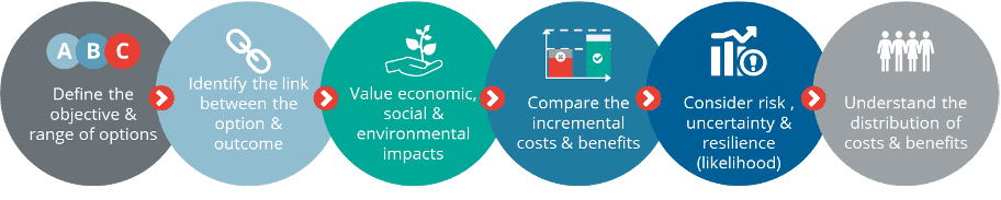 Cost benefit analysis involves six key steps