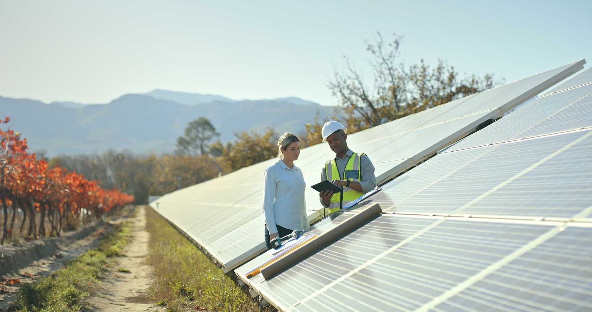 Workers inspecting solar panels