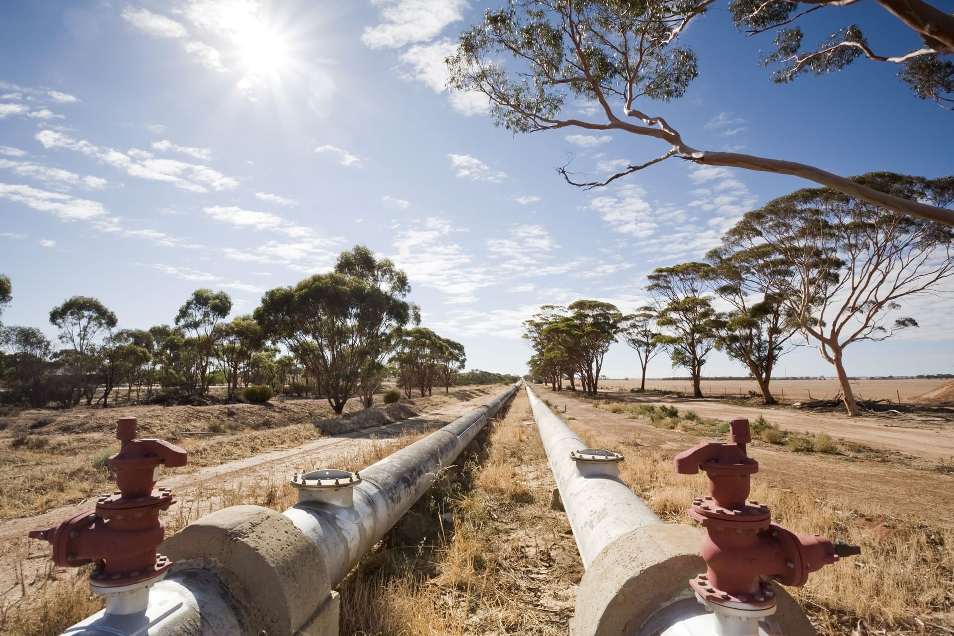 Water pipeline in wheatbelt